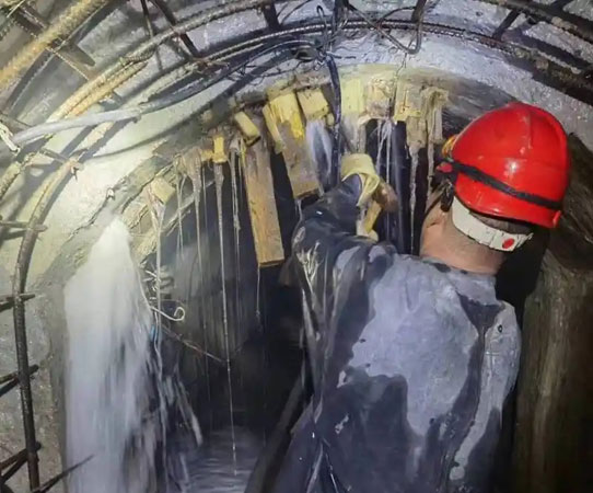 卢市镇大坝堵漏